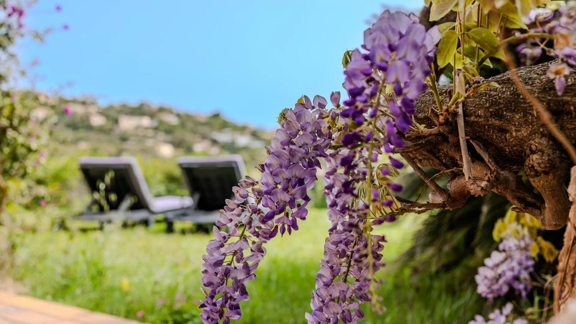 Provenzalisches Haus Homard - Mit Privatem Garten Und Meerblick By Riviera Homelife Saint-Raphael  Holiday home Saint-Raphael (Var)